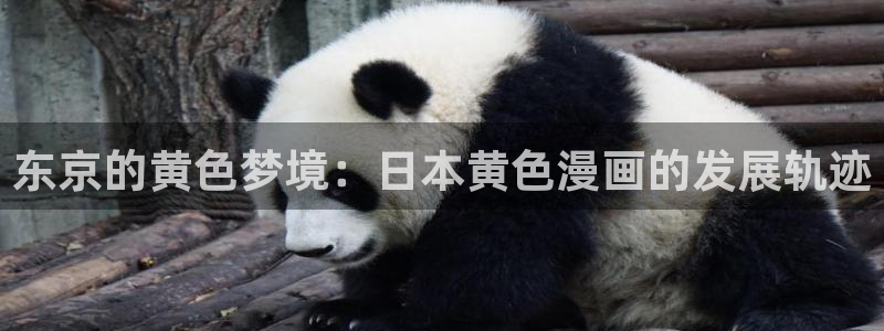 羞羞漫画在线网站：东京的黄色梦境：日本黄色漫画的发展轨迹